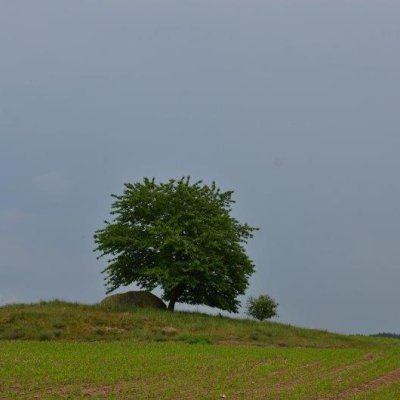 image-1963